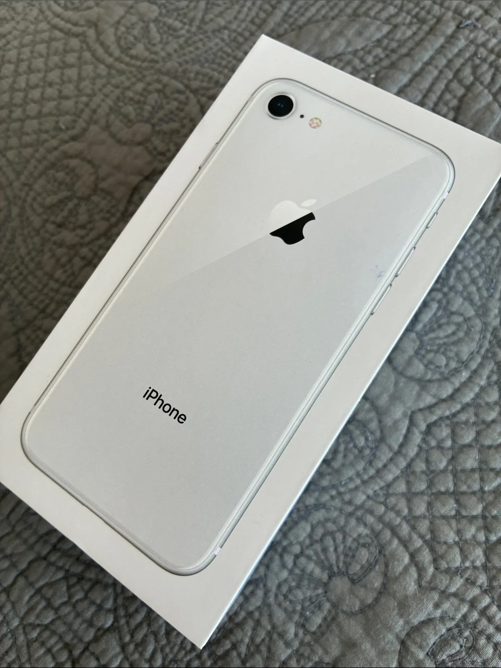 Apple White EarPods with Lightning to 3.5mm Adapter and Case